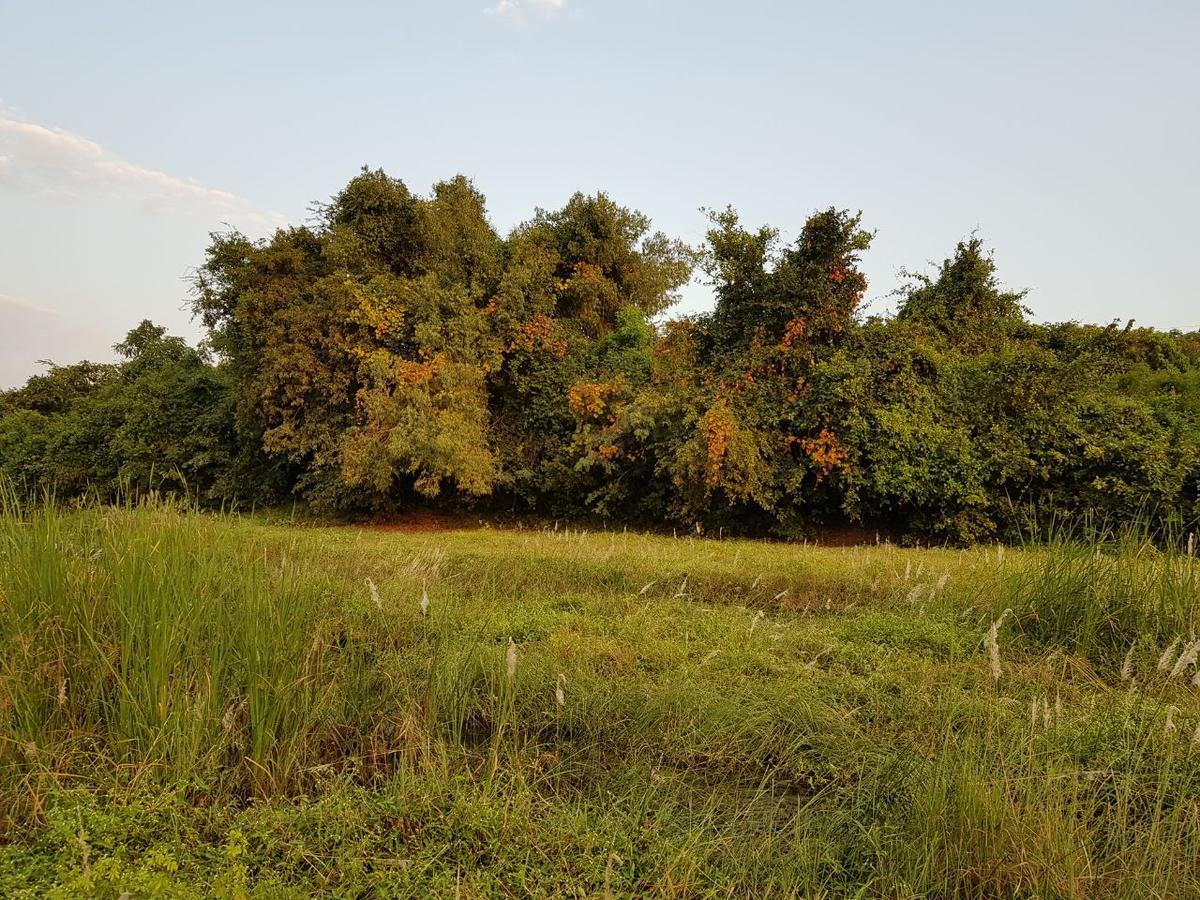 Hiran Holidays Sasan Gir Exterior foto